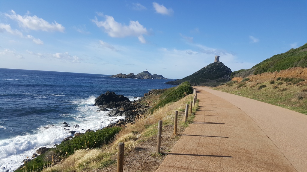 Vue sur les Iles Sanguinaires