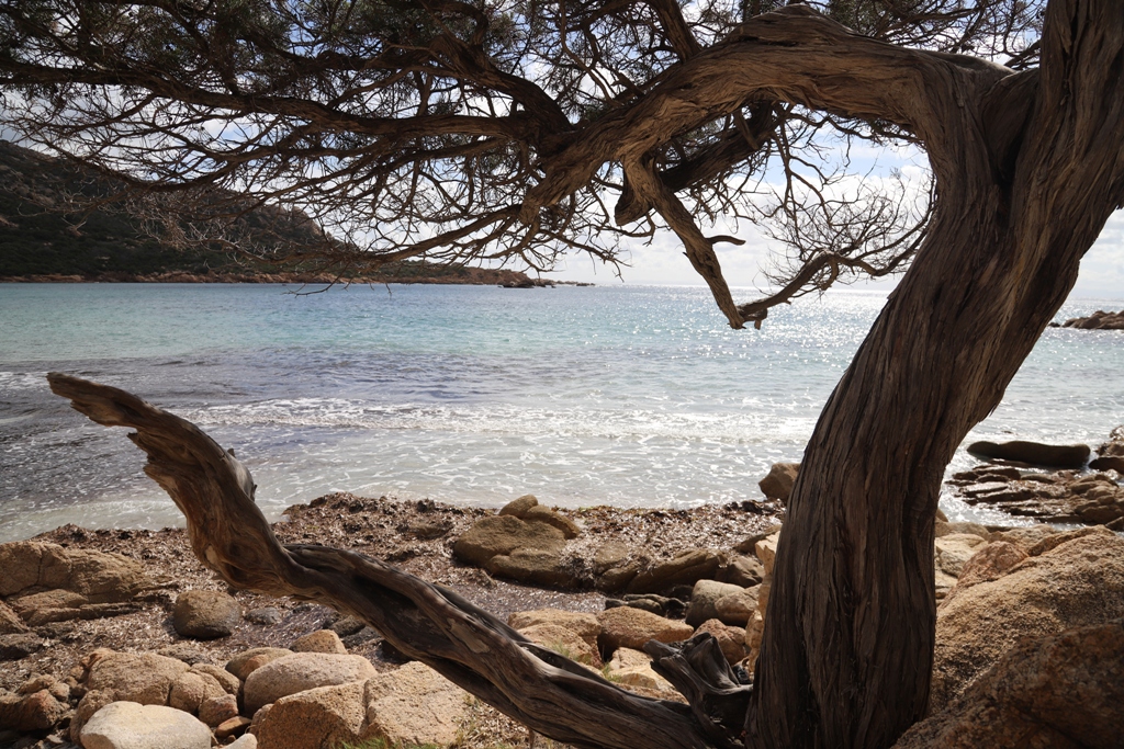 La plage de Roccapina au bout du chemin