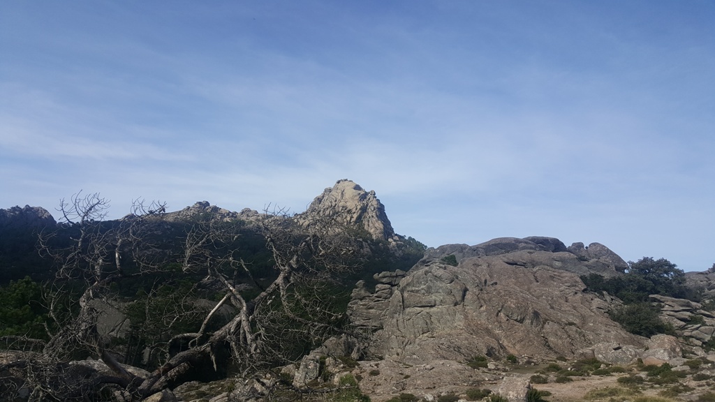 Les sommets de l'Alta Rocca en se rapprochant de Zonza