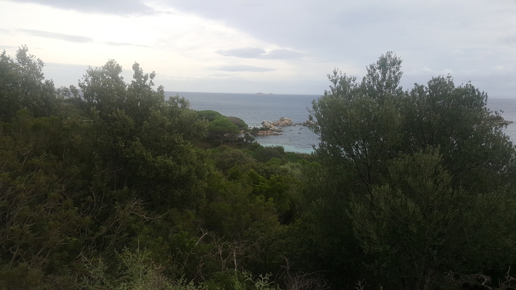 La plage de Palombaggia sans son pin mythique