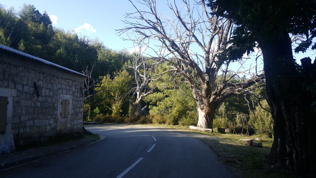 Dans la descente du col de Verde