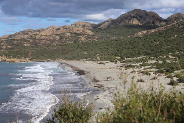 Plage de l'Ostriconi