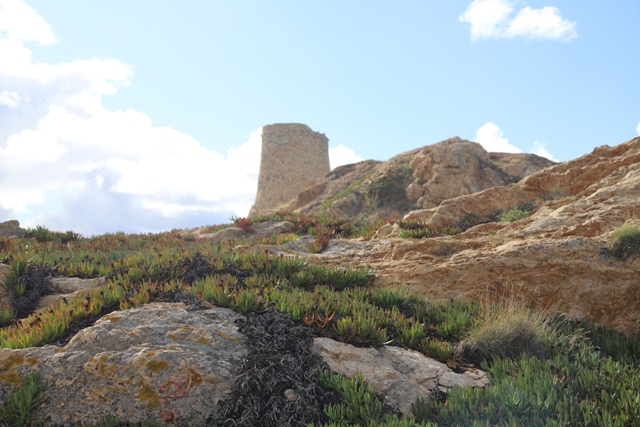 Île Rousse - Tour génoise de la Pietra